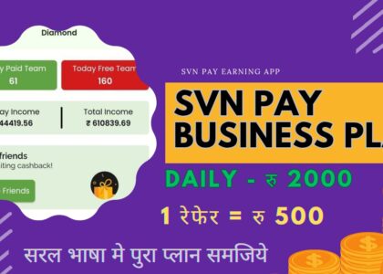 svn pay business plan
