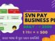 svn pay business plan